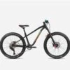 BICICLETA INFANTIL ORBEA LAUFEY 24 H10 2023