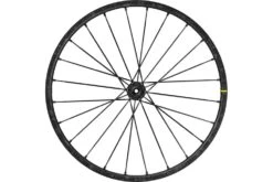 RUEDAS MONTAÑA MAVIC DEEMAX PRO 29 EDICIÓN SAM HILL 2021